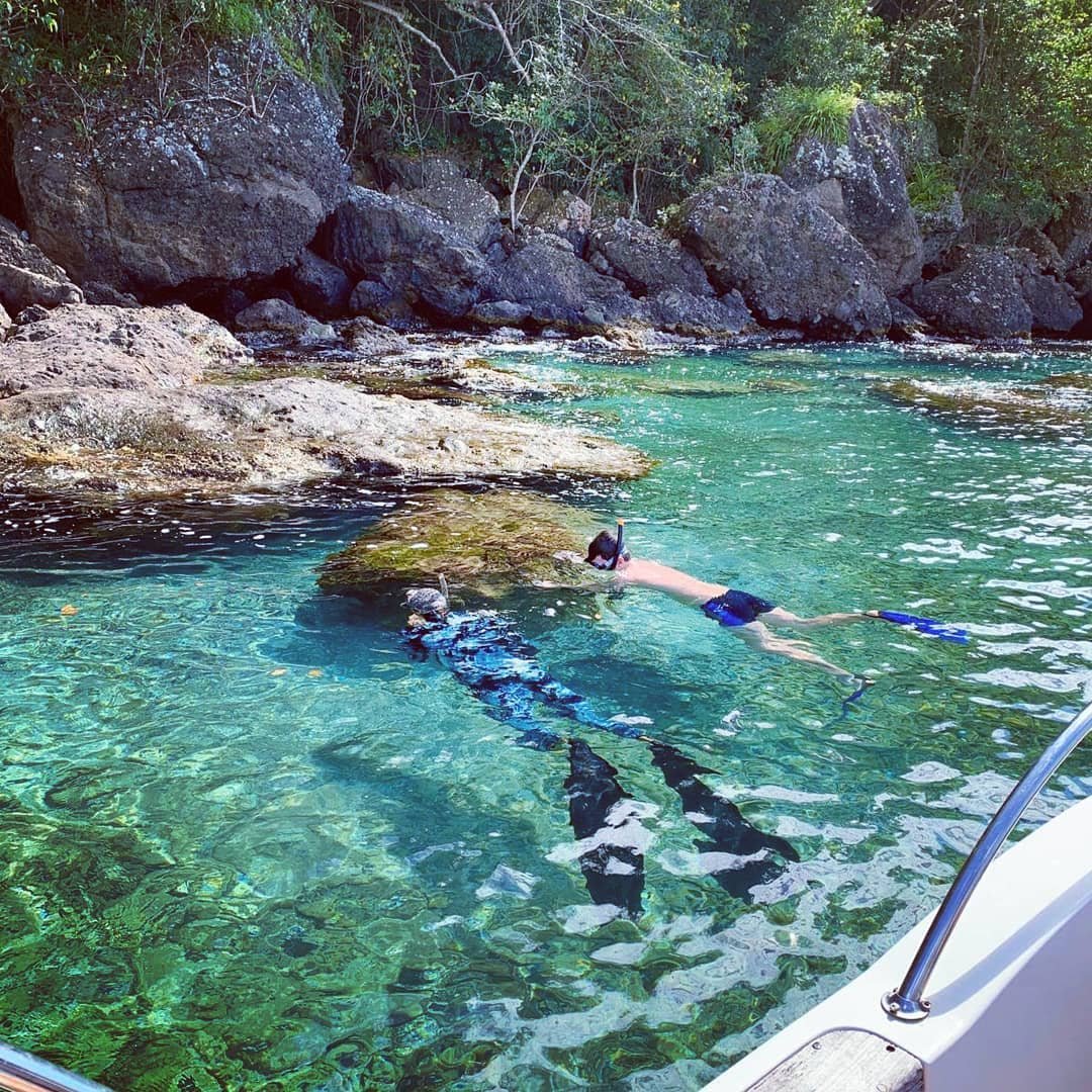Excursion en mer